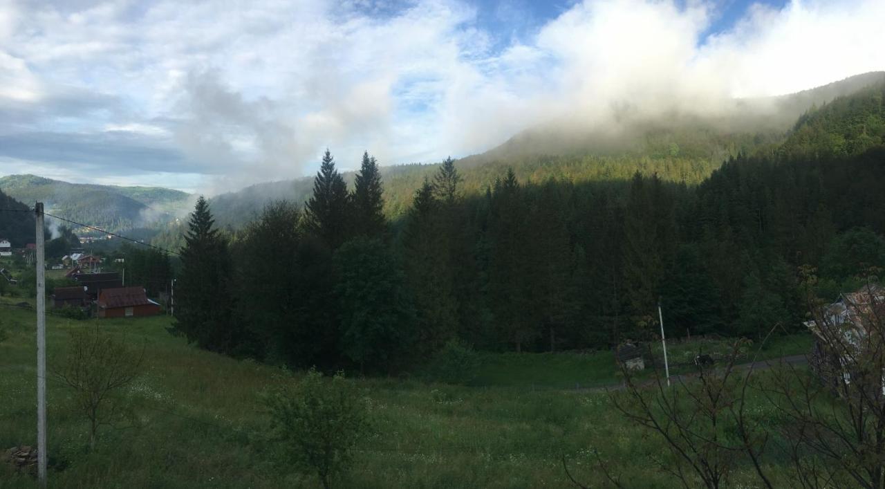 Котедж Mountain House Jaremče Exteriér fotografie