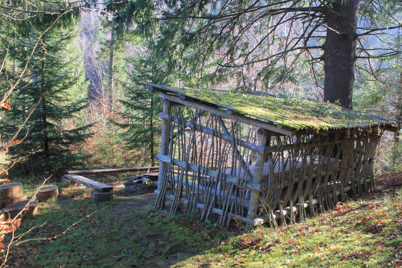 Котедж Mountain House Jaremče Exteriér fotografie