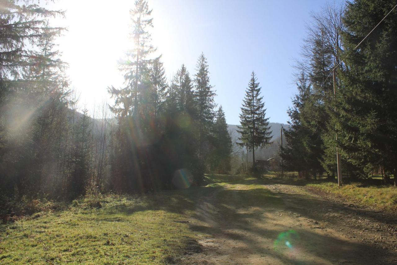 Котедж Mountain House Jaremče Exteriér fotografie